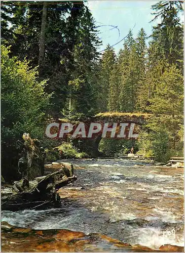 Moderne Karte Les Vosges Gerardmer (Vosges) La Vologne et le Pont des Fees