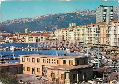 Cartes postales moderne Toulon (Var) La Douane Le port et l'Hotel de Ville