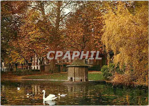 Cartes postales moderne Toulouse La Ville Rose Cite des Violettes Le Jardin Royal