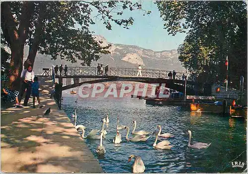 Cartes postales moderne Annecy (Hte Sav) Le pont des Amours et le mont Veyrier (1300 m)