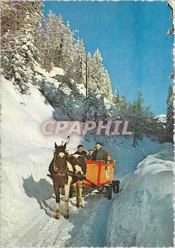 Cartes postales moderne Morzine (Haute Savoie) alt 1000m Promenade en Traineau