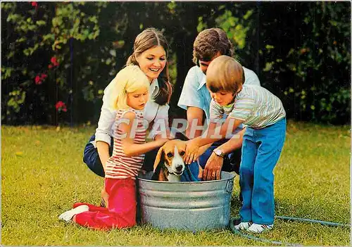 Moderne Karte Enfants Chien