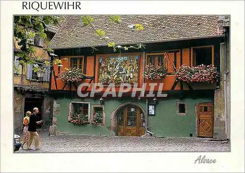 Cartes postales moderne Riquewihr Images de France Maison Pittoresque