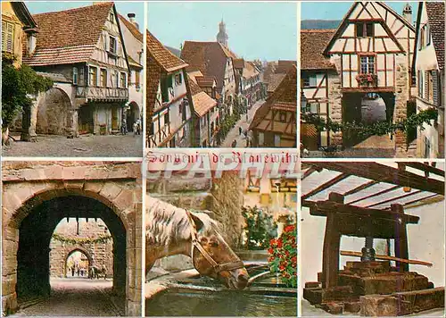 Cartes postales moderne Riquewihr (Haut Rhin) Maison du XVIe s Vue du Dolder la Porete superieure avec sa Herse