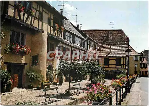 Cartes postales moderne L'Alsace Fleurie Vieilles maisons a colombages richement Fleuries a Ribeauville (Place du Rouc)