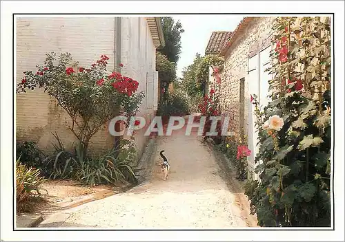 Moderne Karte Talmont Ruelle fleurie de roses tremoeres