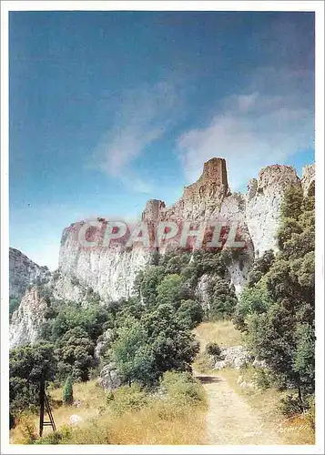 Cartes postales moderne Pays Cathare Chateau de Peyrepertuse a l'assaut du ciel