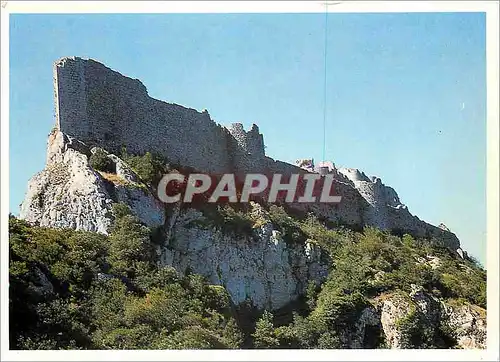 Cartes postales moderne Pays Cathare Chateau de Peyrepertuse Facade Nord Tel un vaisseau de pierre