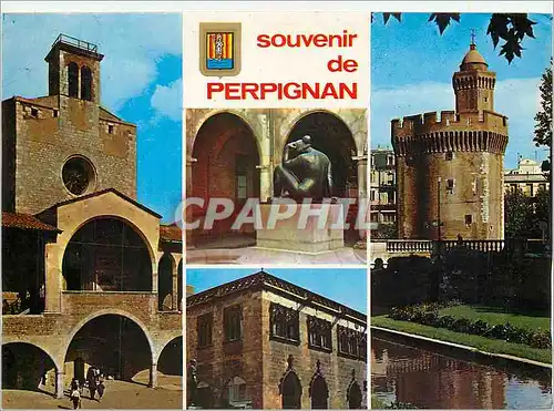 Cartes postales moderne Arts et Couleurs du Roussillon Perpignan le Palais des Rois de Mosaique