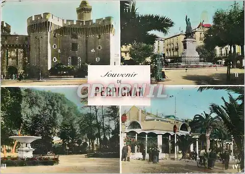 Cartes postales moderne Perpignan (P O) Le Castillet et la Porte N D la Place Arago le jardin Public le Palmarium