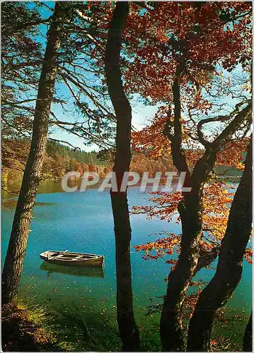 Cartes postales moderne L'Auvernge Touristique Le Lac Pavin en 97 m prof 92 m sup 44 ha) Automne (alt 1197 m prof 92 m s