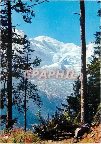 Cartes postales moderne Les Alpes Francaises Panorama du Mont Blanc