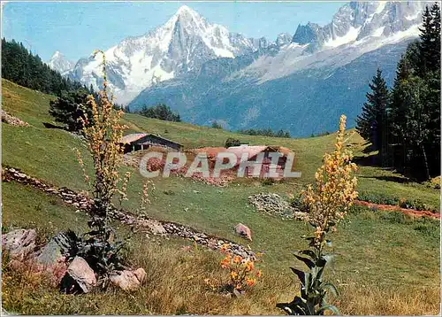 Moderne Karte Au pays du Mont Blanc Tandis que nos yeux vagabonfent dans le printems alpestre