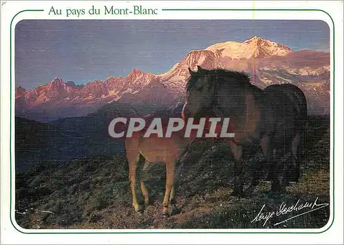 Cartes postales moderne Un soir d'ete Au pays du Mont Blanc