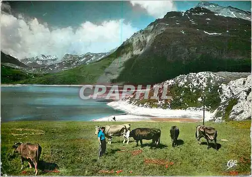 Moderne Karte Col du Mont Cenis Paturages autour du Lac Vaches