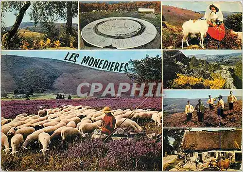 Cartes postales moderne Le Limousin Touristique les Monedieres Chevre Moutons