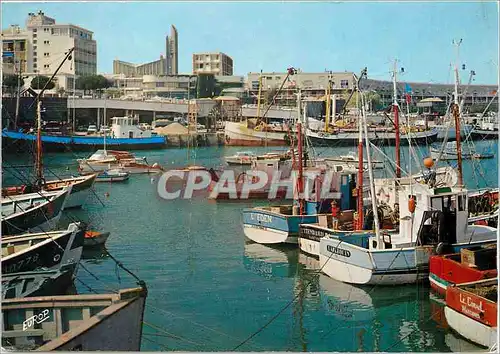 Cartes postales moderne Royan (Chte Mme) Cote de Beaute le Port
