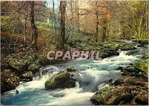 Cartes postales moderne La Rouvre sous la Roche d'Oetre