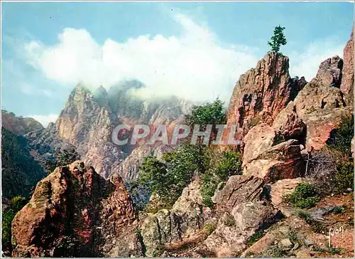 Cartes postales moderne La Corse oasis de Beaute la Spelunca Fantastique decor aux falaises hardies