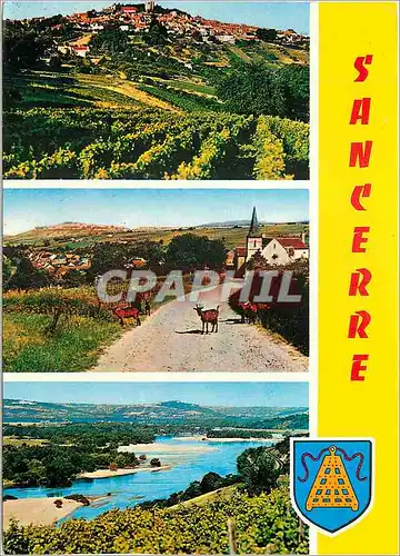 Cartes postales moderne Sancerre (Cher)