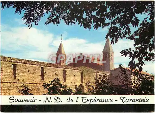 Cartes postales moderne Notre dame de l'Esperance Tarasteix (Htes Pyrenees) vue d'angle