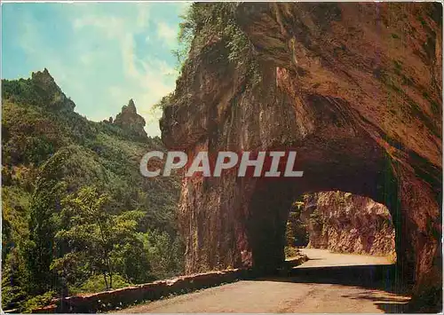 Cartes postales moderne En Parcourant les Gorges du Tarn Un des curieux aspects de la route du Rozier aux Vignes se deta
