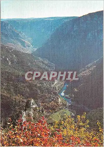 Cartes postales moderne En Parcourant les Gorges du Tarn Vue panoramique prise du point sublime (alt 870 m)sur la Vallee