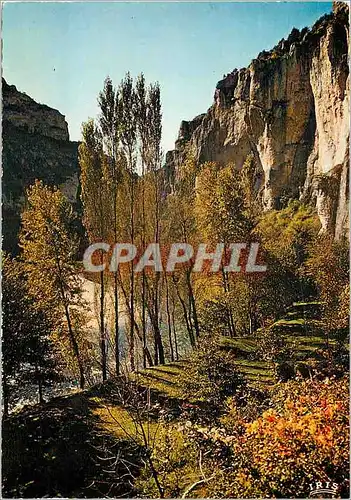 Moderne Karte Dans les Gorges du Tarn Paysage d'Automne