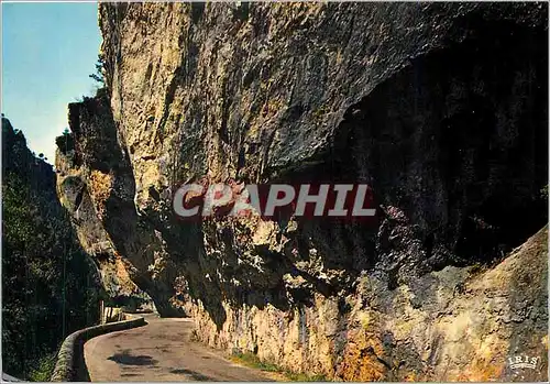 Cartes postales moderne Gorges du Tarn L'sEncorbellement des rochers