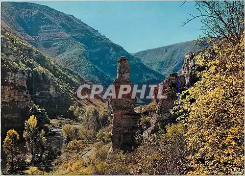 Cartes postales moderne Gorges du Tarn paysage pittoresque