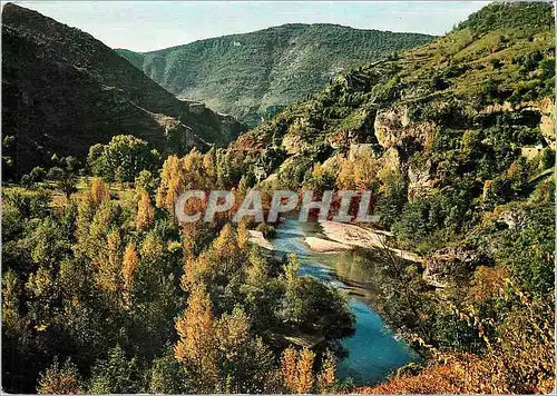 Cartes postales moderne En Parcourant les Gorges du Tarn Couleurs d'automne dans les Gorges