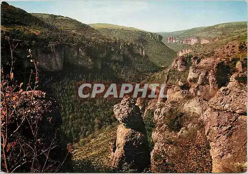 Cartes postales moderne En Parcourant les Gorges du Tarn Vue panoramique sur le Canon de la Jonte