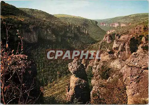 Moderne Karte En Parcourant les Gorges du Tarn Vue panoramique sur le Canon de la Jonte