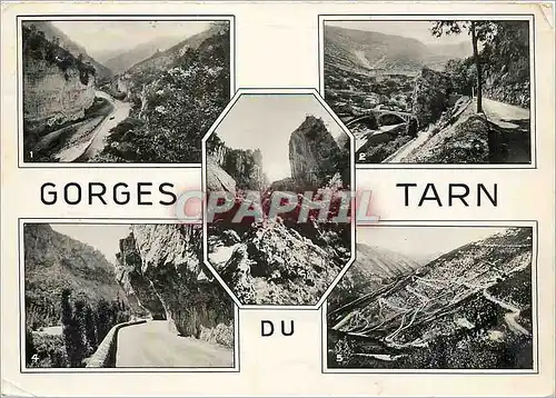 Cartes postales moderne Gorges du Tarn Sortie des Detroits St Chely due Tarn Le Pas de Soucy et le Belvedere