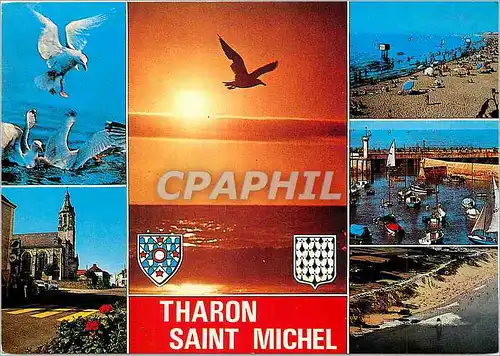 Cartes postales moderne Tharon Saint Michel (alt 44 ) La Plage vue generale le port l'Eglise