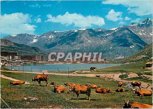 Cartes postales moderne En Tarentaise Station du Lac de Tignes (Savoie) alt 2100 m alpage aux abords du lac au fond la S