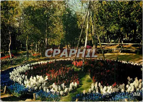 Moderne Karte Cote de Lumiere La Tranche sur Mer (Vendee) Les Floralies (Exposition Mars Aveil)