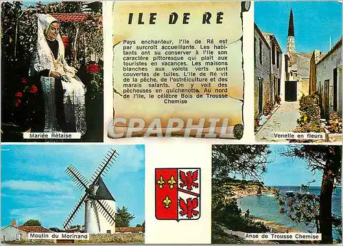 Cartes postales moderne Ile de Re (Chte Mme)