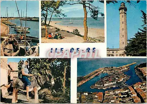 Cartes postales moderne Ile de Re (Chte Mme) Chenal d'Arts Trousse Chemise Phare des Baleines ane en culotte Saint Marti