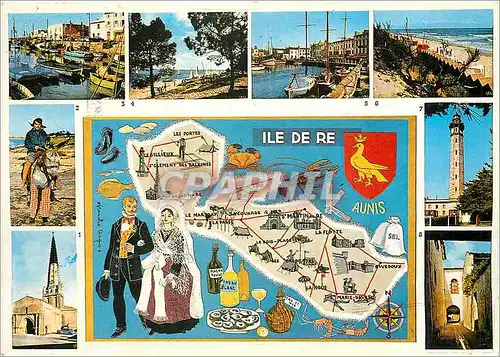 Cartes postales moderne Ile de Re (Chte Mme) Ars en Re Ane en Culottes