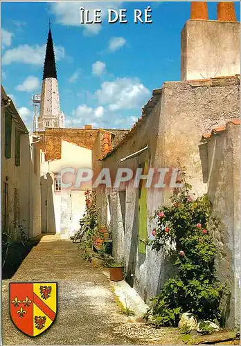 Cartes postales moderne Ile de Re (Chte Mme) Une venelle Fleurie et le Clocher de l'eglise Saint Etienne