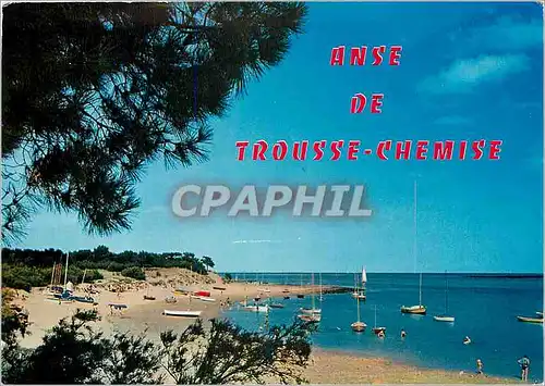 Cartes postales moderne Ile de Re (Chte Mme)