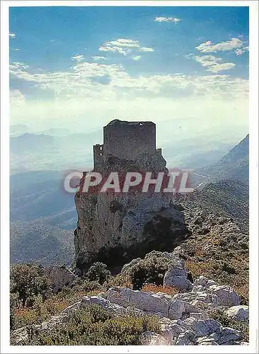 Cartes postales moderne Pays Cathare Chateau de Queribus Les Frontiere de l'Invisible