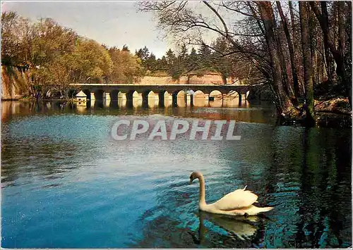 Cartes postales moderne Le Quesnoy (Nord) l'Etang