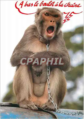 Cartes postales moderne A bas le Boulot a la Chaine