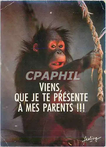 Moderne Karte Viens Que je te Presente a mes Parents