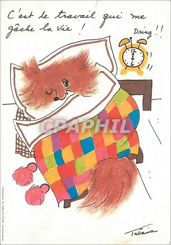 Cartes postales moderne  Chien