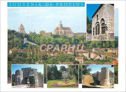 Cartes postales moderne Provins (Sene Marne) Vue generale de la Roseraie Maison des orphelines