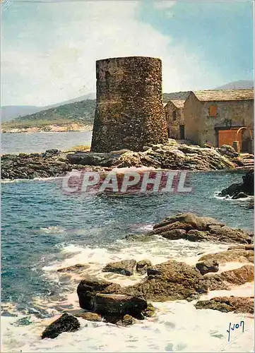 Cartes postales moderne La Corse oasis de Beaute Cap Corse Marine de Tollare