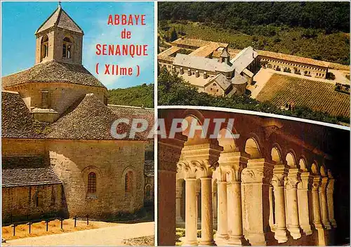 Cartes postales moderne Paysages du Liberons Abbaye de Senanque (XIIe s)